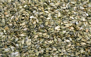 Pumkin Seeds