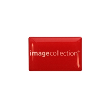 19.75mm x 30.5mm Resin Label for D487 Keyring