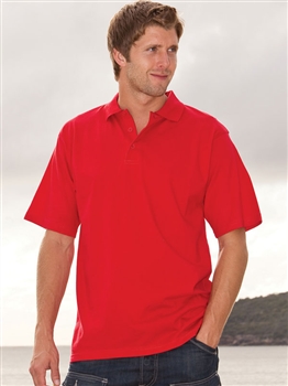 Division Polo