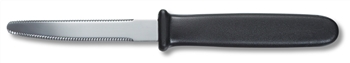 Grapefruit Knife